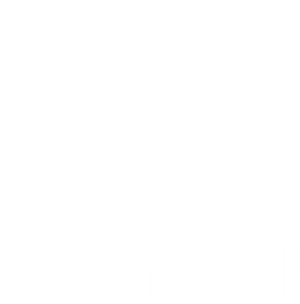 Volkl